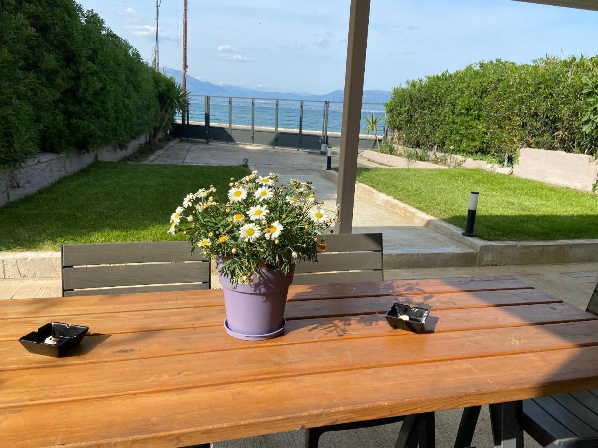 M & F House Villa Oropos Buitenkant foto